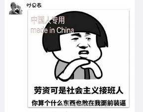 周子瑜致歉引发两岸脸书表情包大战大陆完胜组图