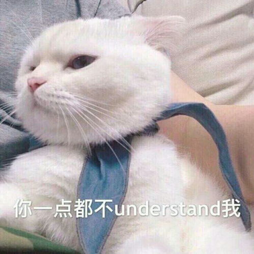 春天来了我打开手机却只想看你笑但是却没有什么办法所以只好出门散散心但是