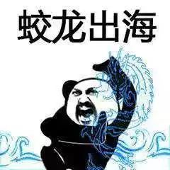 3.15啊,又有新品假货露头了盘它