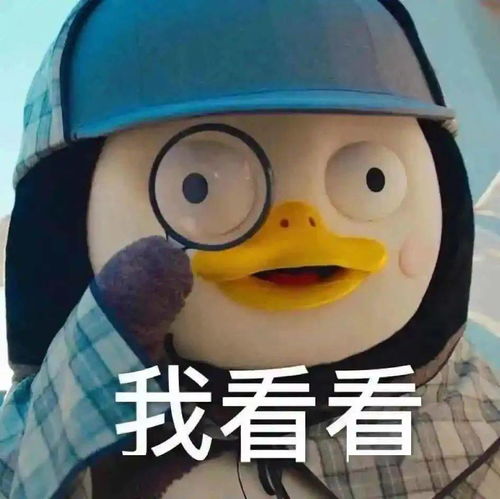 套路聊天表情包