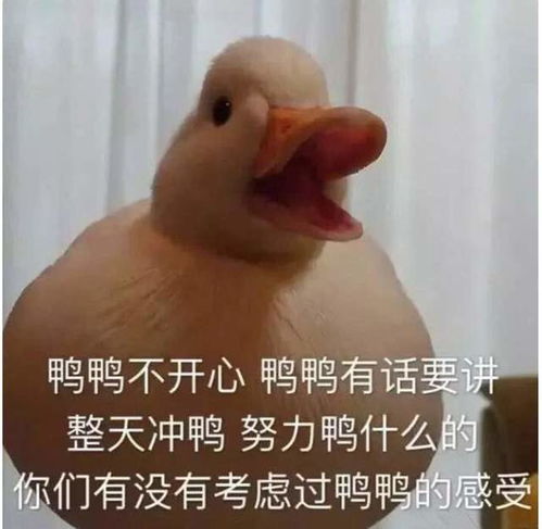 2020年终回顾娱乐圈十二大流行梗,罗志祥独占两席