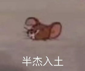 雨水冷空气即将到货东莞要降温啦终于要入秋了
