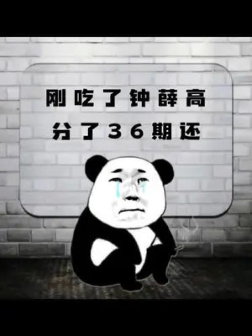 刚吃了钟薛高,分了36期还,真透心凉高价雪糕钟薛高朋友圈背景图表情包趣图