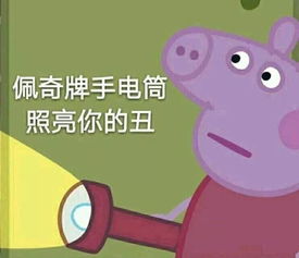 2017年度表情包大赏小猪佩奇,假笑boy,边缘试探.你最爱哪个
