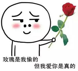 我爱你表情包玫瑰是我偷的,但我爱你是真的