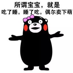 活动报名熊本熊已经准备好姿势和你一起温泉瑜伽啦你还不约
