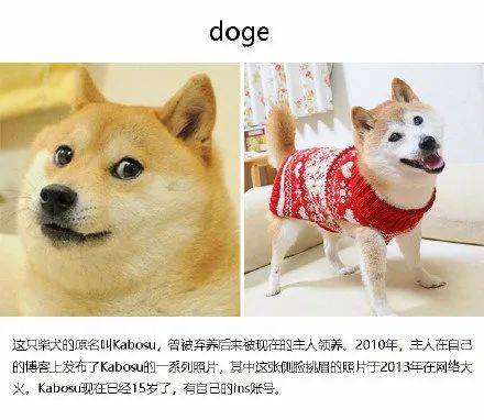 表情包原型