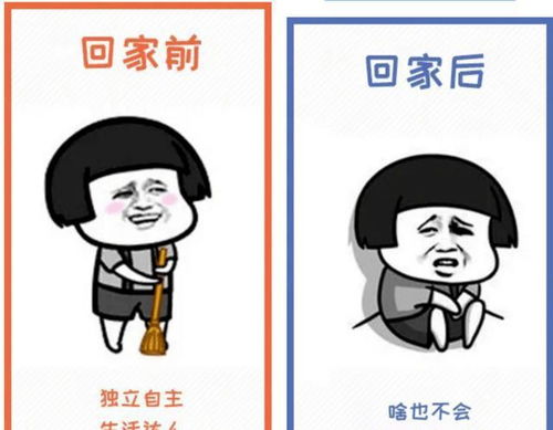 网友用表情包诠释大学生回家前后,对比图逗乐网友这也太真实了