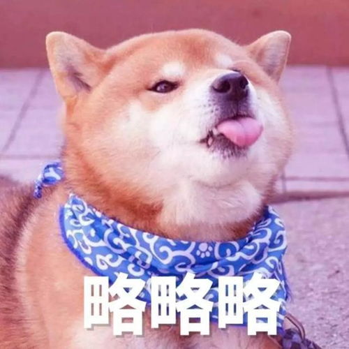 如何写一篇出彩的personalstatement