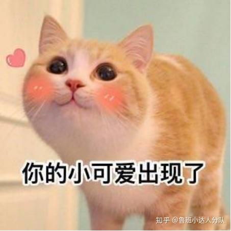 身上起了湿疹怎么办