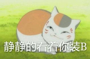 超暖心动漫表情包来袭,夏目友人账大合集再不哄我,你会失去我
