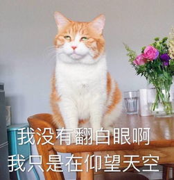 你开枪吧反正我的心早就死了