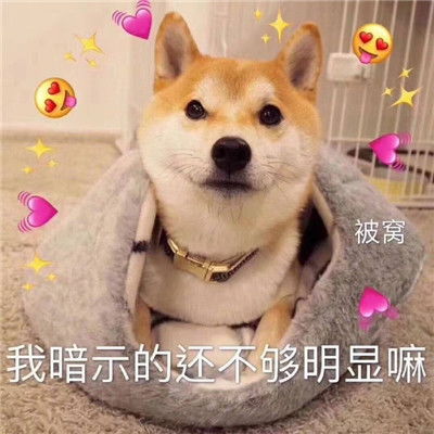 给钱吗狗狗托腮表情包万能回复的聊天表情