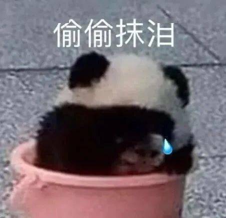 气死我了