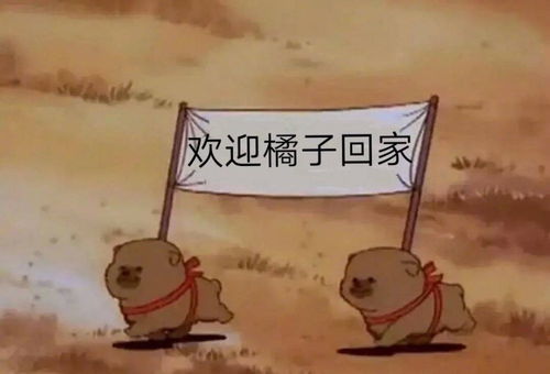 杨超越猫丢失两周后找回,发文感谢帮忙,粉丝为猫做专属表情包欢迎回家