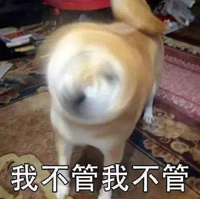 柴犬wink表情包不讲道理
