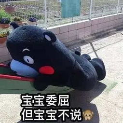 一个超级ip熊本的地震