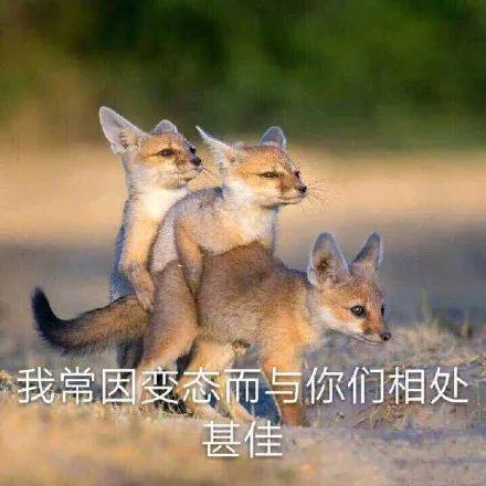 超级小桀被质疑搞h色,夹紧屁股展示图案看傻水友