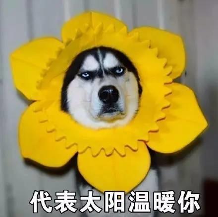 2收藏夹
