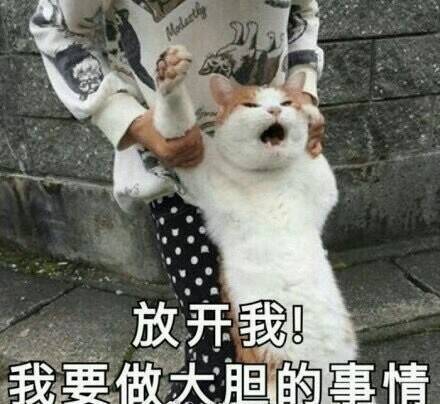 热门表情发表情,表情包大全fabiaoqing.com
