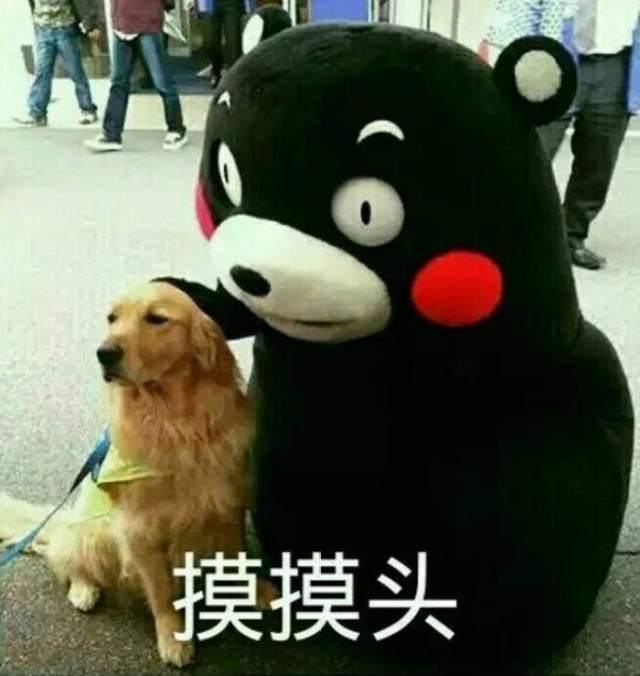 狗年摸狗头,万事不用愁搞笑频道