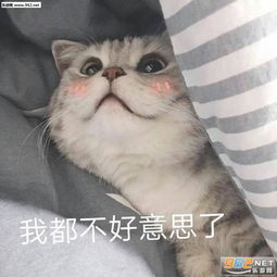 整天情情爱爱不知羞耻表情包图片吃我一jio表情包下载乐游网游戏下载