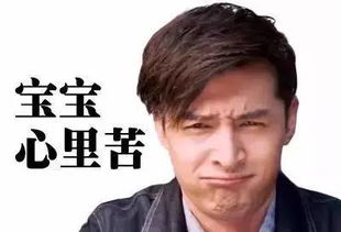 林心如霍建华甜蜜虐狗,昨晚大家都是胡歌
