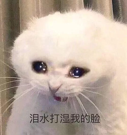 牙齿