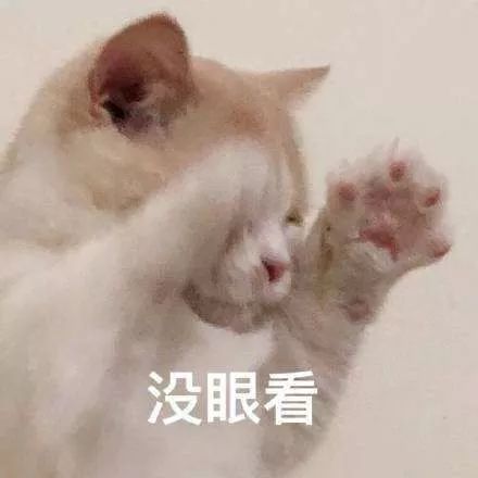 掌游宝啥都聊网飞你还我美丽的特莉丝