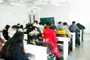 突围寒假集训开课首日要知道,一条设计考研狗的正确学习姿势应该是这样