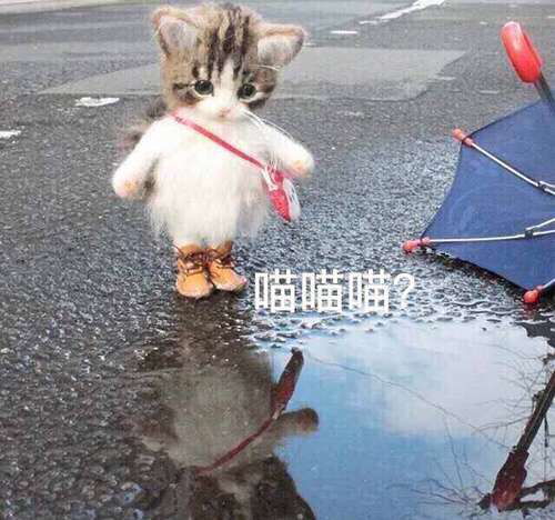 你们觉得男女朋友可以互相看对方手机吗