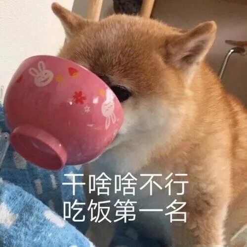 表情包有本事上称