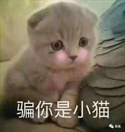 lxl蒋劲夫合拍偶像剧定档2020年看完网友评论笑出腹肌哈哈哈哈