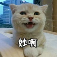 妙啊图片表情包