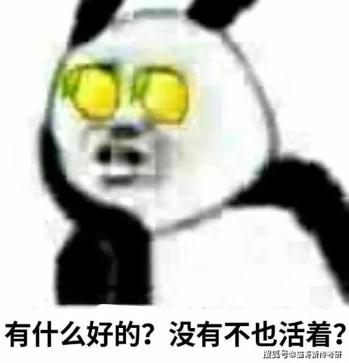 不会真有人不过七夕吧不会吧不会吧拉扎斯菲尔德爱过罗伯特默顿