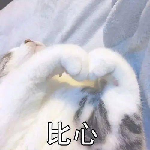 带头盔有用吗交警暴力锤打戴上头盔的ta,结果......