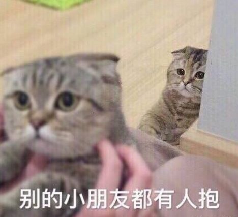 最近新收集的一波猫咪表情包,来收图吧