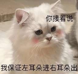 我的收藏夹