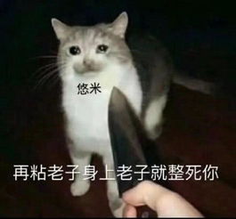 奇亚娜上线胜率比当初悠米还低打野中单双垫底被玩家疯狂吐槽