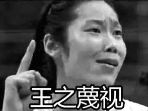 朱婷表情包1图排球