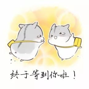 报名义心传爱,共浴暖阳