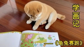 一起造作扭棒柴犬3种脸色给你看黄柴黑柴招财萌犬娃圈周边抱偶道具diy手工毛绒小玩具