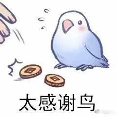 鸟图表情包系列三