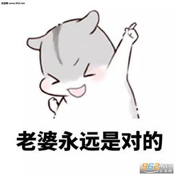 仓鼠哄老婆表情包老婆永远是对的仓鼠表情包下载乐游网游戏下载