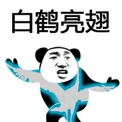 武功秘籍表情包下载武功秘籍表情包无水印版下载飞翔下载