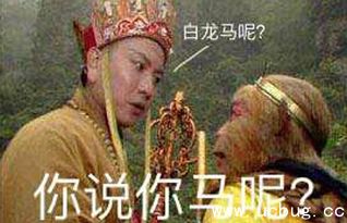 冲鸭是什么意思冲鸭表情包大全分享