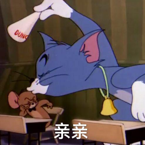 接受表情包图片猫和老鼠
