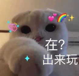 全新猫咪表情包,拿走不谢