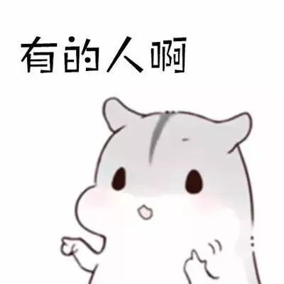 可爱仓鼠表情包光速