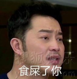 从英俊的白展堂到行走的表情包论沙溢的蜕变